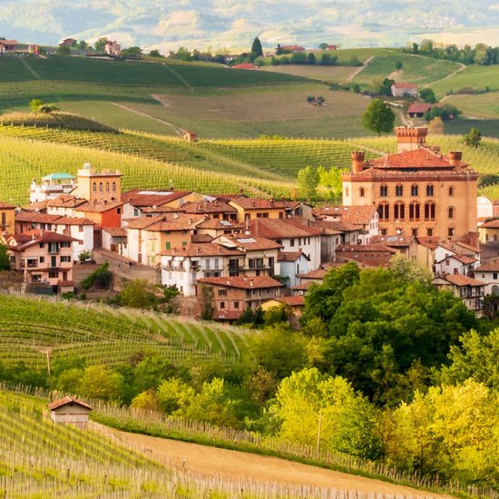 Vineyards of Barolo, Tour of Piemonte